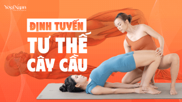 ĐT cây cầu.png