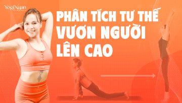 vươn người lên.png